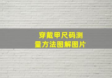 穿戴甲尺码测量方法图解图片