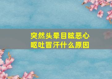 突然头晕目眩恶心呕吐冒汗什么原因