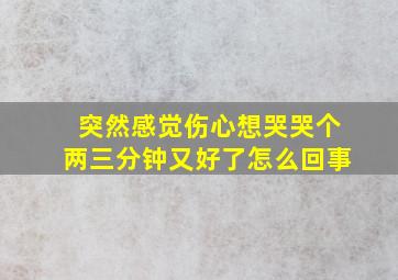 突然感觉伤心想哭哭个两三分钟又好了怎么回事