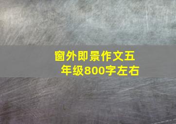 窗外即景作文五年级800字左右