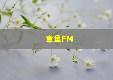 章鱼FM