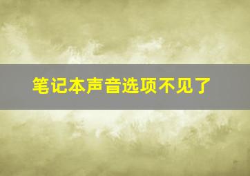 笔记本声音选项不见了