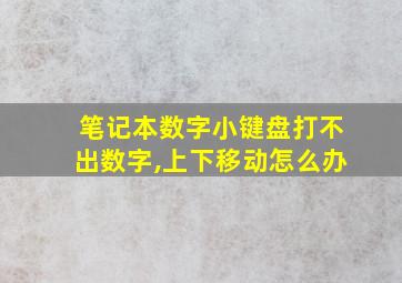 笔记本数字小键盘打不出数字,上下移动怎么办