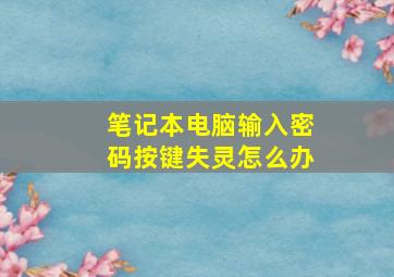 笔记本电脑输入密码按键失灵怎么办