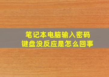 笔记本电脑输入密码键盘没反应是怎么回事