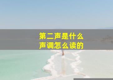 第二声是什么声调怎么读的