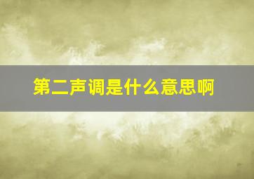 第二声调是什么意思啊