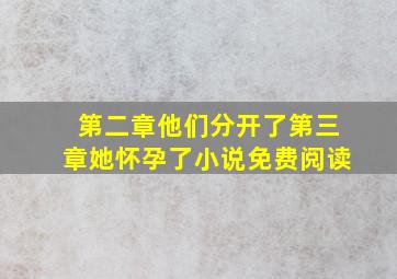 第二章他们分开了第三章她怀孕了小说免费阅读