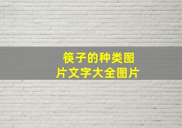 筷子的种类图片文字大全图片