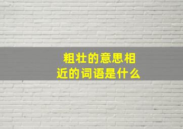 粗壮的意思相近的词语是什么