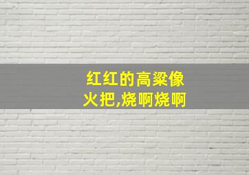 红红的高粱像火把,烧啊烧啊