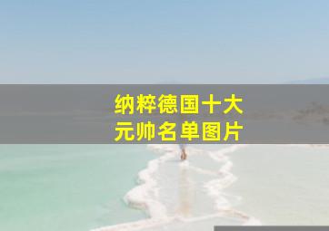 纳粹德国十大元帅名单图片