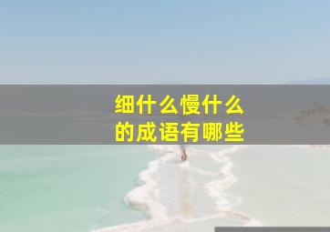 细什么慢什么的成语有哪些