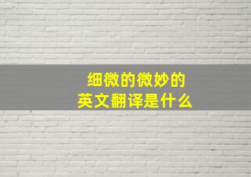 细微的微妙的英文翻译是什么