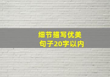 细节描写优美句子20字以内