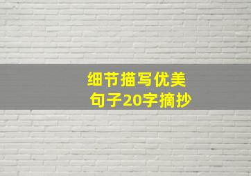 细节描写优美句子20字摘抄