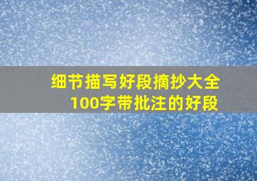 细节描写好段摘抄大全100字带批注的好段