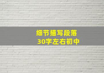 细节描写段落30字左右初中