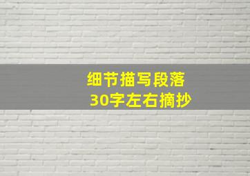 细节描写段落30字左右摘抄