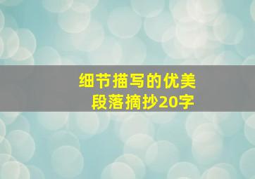 细节描写的优美段落摘抄20字