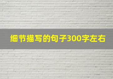 细节描写的句子300字左右