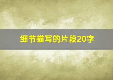 细节描写的片段20字