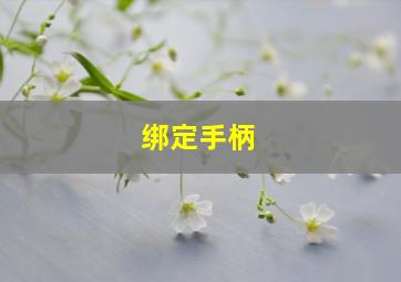 绑定手柄