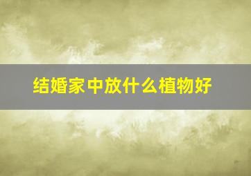 结婚家中放什么植物好