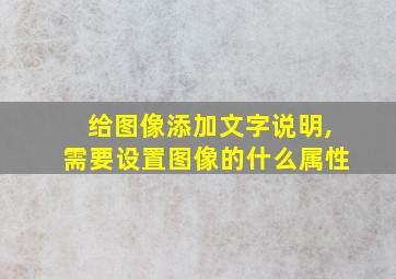 给图像添加文字说明,需要设置图像的什么属性