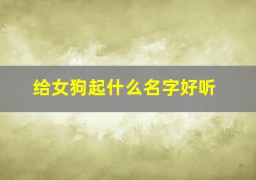 给女狗起什么名字好听