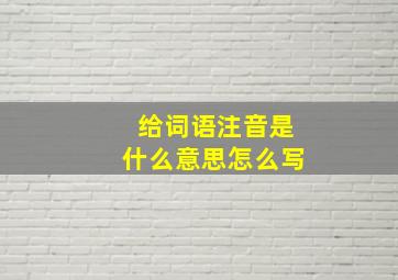 给词语注音是什么意思怎么写