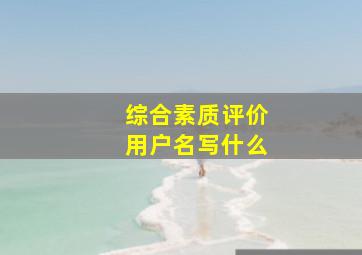 综合素质评价用户名写什么