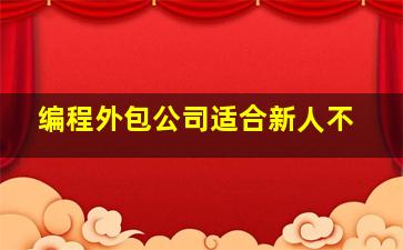 编程外包公司适合新人不