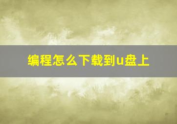 编程怎么下载到u盘上