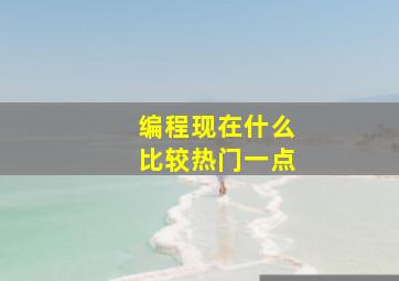 编程现在什么比较热门一点