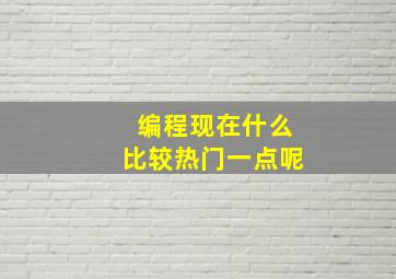 编程现在什么比较热门一点呢