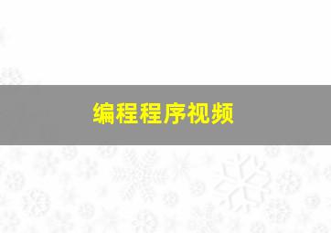 编程程序视频