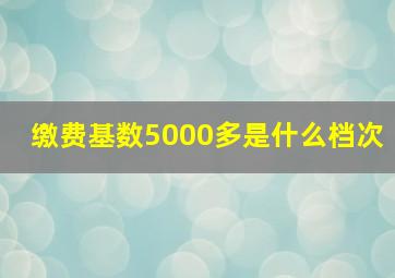 缴费基数5000多是什么档次