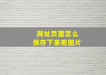 网址页面怎么保存下来呢图片