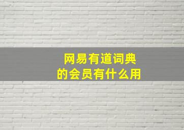 网易有道词典的会员有什么用