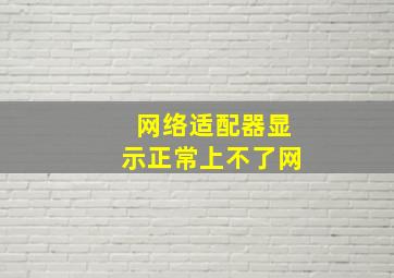 网络适配器显示正常上不了网