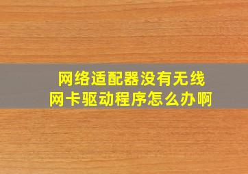 网络适配器没有无线网卡驱动程序怎么办啊