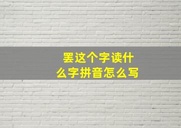 罢这个字读什么字拼音怎么写