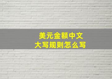 美元金额中文大写规则怎么写