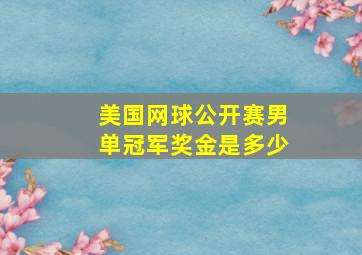 美国网球公开赛男单冠军奖金是多少