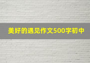 美好的遇见作文500字初中