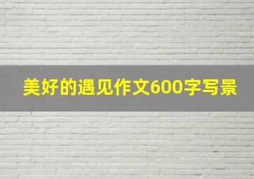 美好的遇见作文600字写景