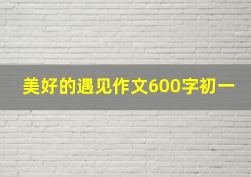 美好的遇见作文600字初一