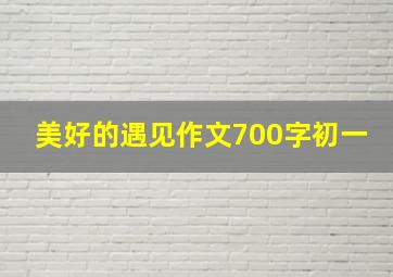 美好的遇见作文700字初一