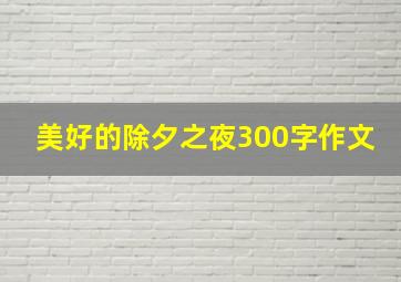 美好的除夕之夜300字作文